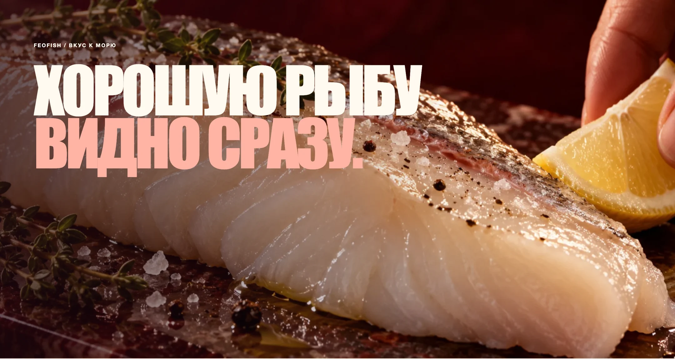 Крупный типографический экран FeoFish с изображением рыбы